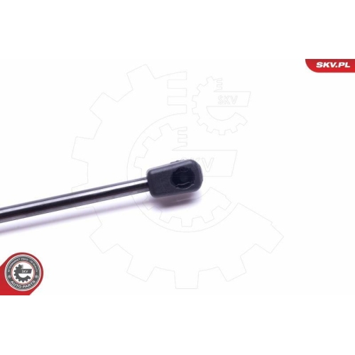 ESEN SKV Gasfeder, Koffer-/Laderaum