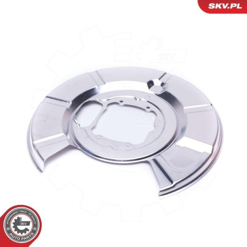 ESEN SKV Spritzblech, Bremsscheibe