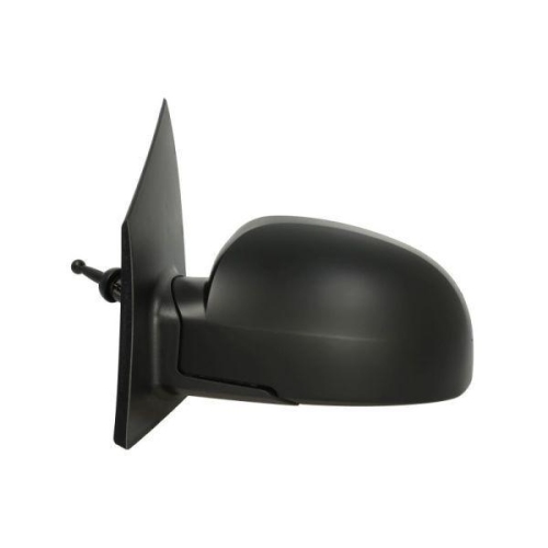 BLIC Au&szlig;enspiegel 5402-04-1137121P