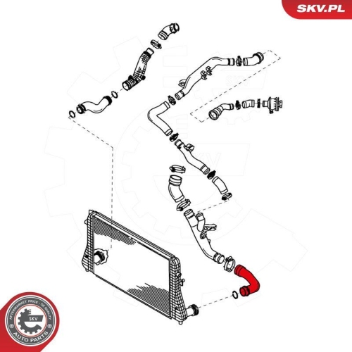 ESEN SKV Ladeluftschlauch 24SKV053