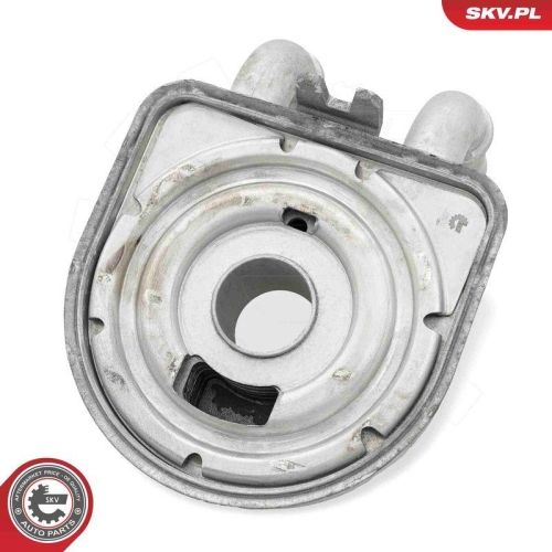 ESEN SKV &Ouml;lk&uuml;hler, Motor&ouml;l 31SKV307