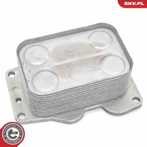 ESEN SKV &Ouml;lk&uuml;hler, Motor&ouml;l 31SKV308