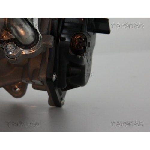 TRISCAN AGR-Ventil 8813 29304