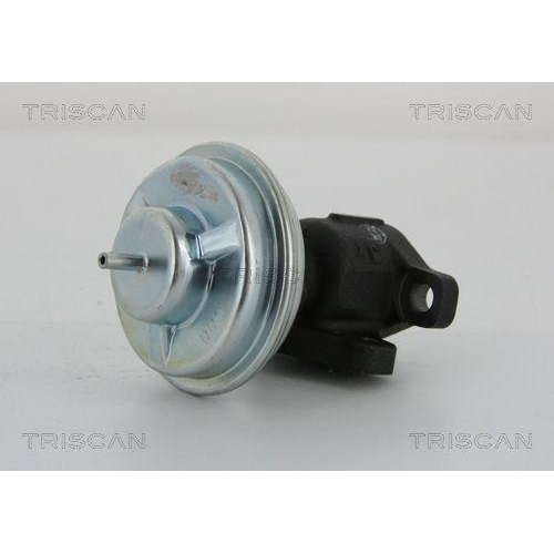 TRISCAN AGR-Ventil 8813 43005