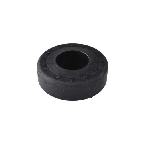 TEDGUM Lagerung, Lenker