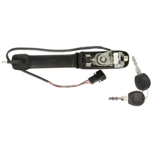 BLIC Türaußengriff 6010-01-060401P