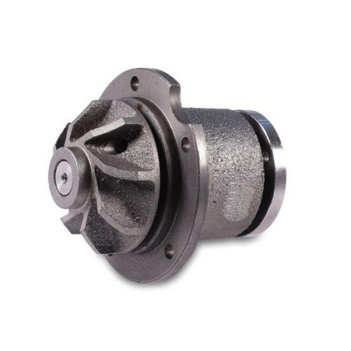 HEPU Wasserpumpe, Motork&uuml;hlung P154