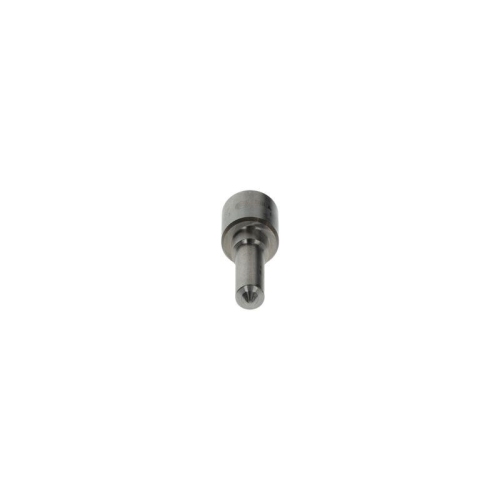 BOSCH D&uuml;se 0 433 175 230