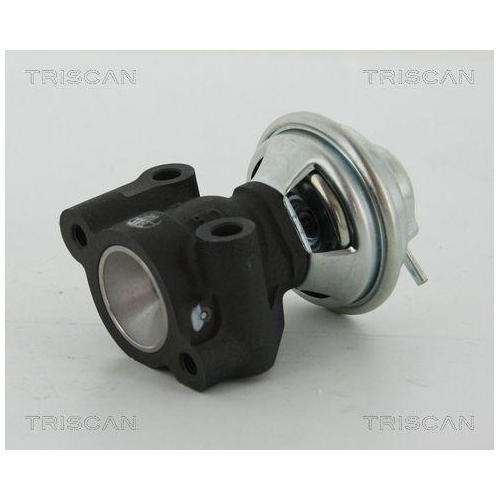TRISCAN AGR-Ventil 8813 43016