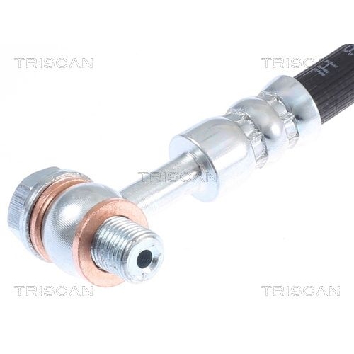 TRISCAN Bremsschlauch