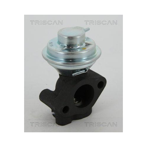 TRISCAN AGR-Ventil 8813 43040