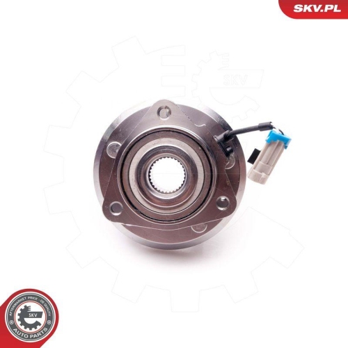 ESEN SKV Radlagersatz 29SKV061