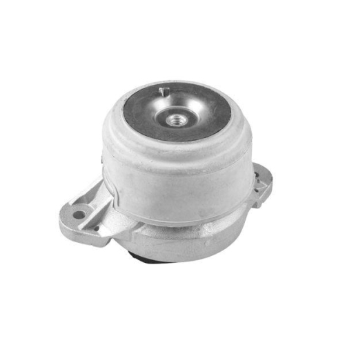 TEDGUM Lagerung, Motor TED79851