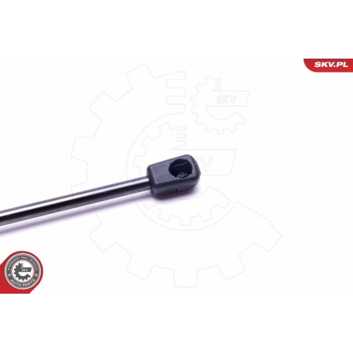 ESEN SKV Gasfeder, Koffer-/Laderaum