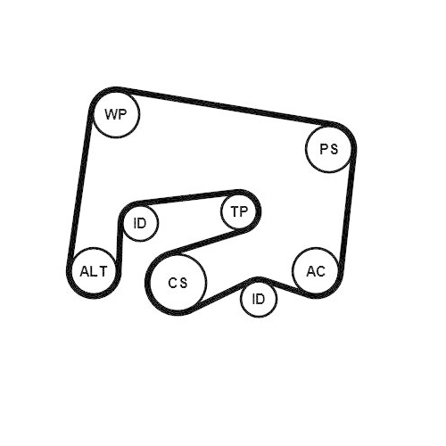 CONTINENTAL CTAM Keilrippenriemensatz 6PK2000K1
