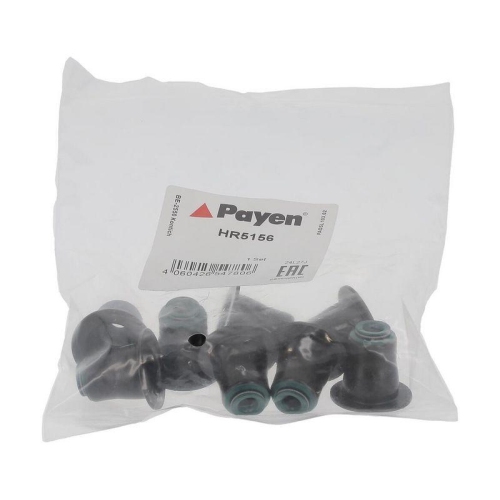 PAYEN Dichtungssatz, Ventilschaft HR5156