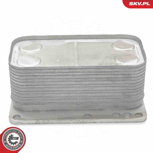 ESEN SKV &Ouml;lk&uuml;hler, Motor&ouml;l 31SKV343