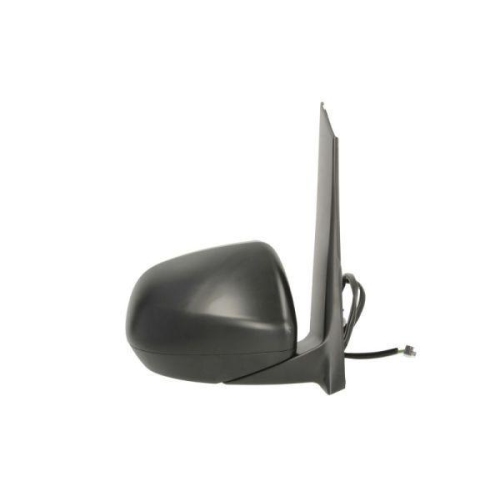 BLIC Außenspiegel 5402-04-0203894P