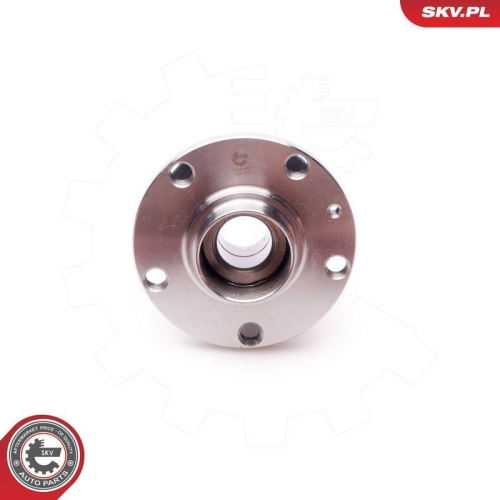 ESEN SKV Radlagersatz 29SKV069