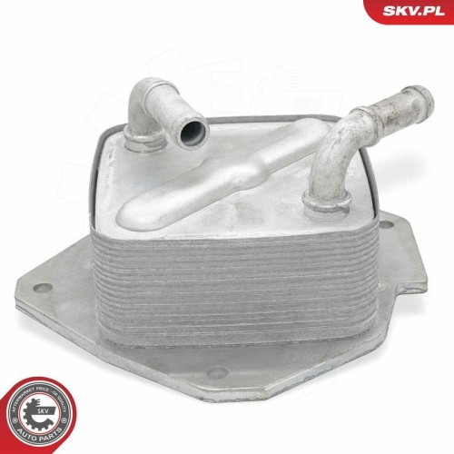 ESEN SKV &Ouml;lk&uuml;hler, Motor&ouml;l 31SKV349