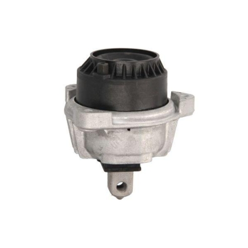 REINHOCH Lagerung, Motor RH11-3083