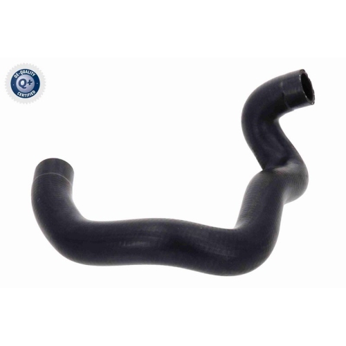 VAICO K&uuml;hlerschlauch Q+, Erstausr&uuml;sterqualit&auml;t V22-1160