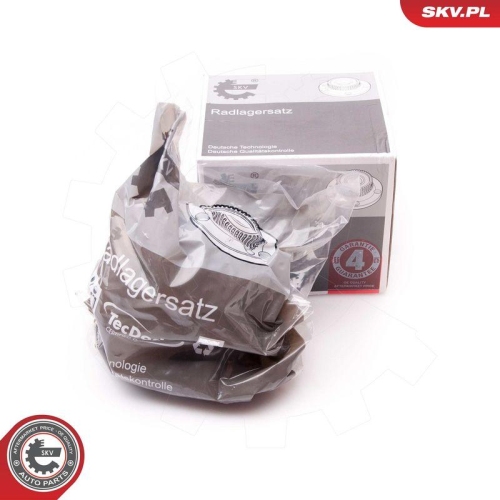 ESEN SKV Radlagersatz 29SKV070