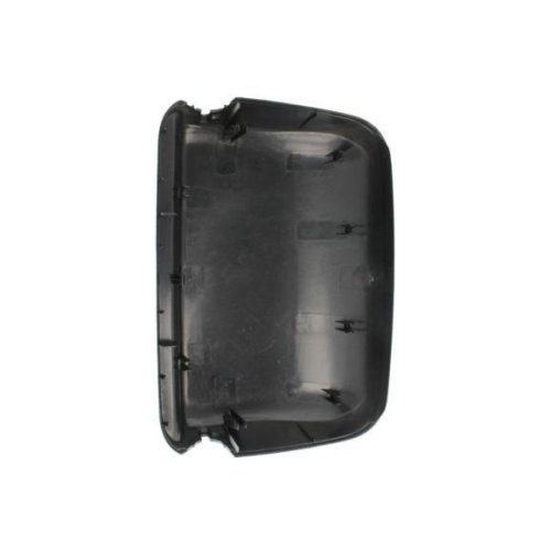 PACOL Geh&auml;use, Au&szlig;enspiegel RVI-MR-012