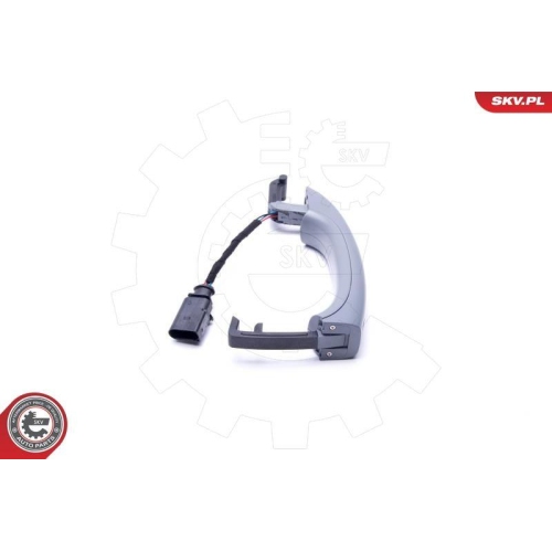 ESEN SKV Türaußengriff