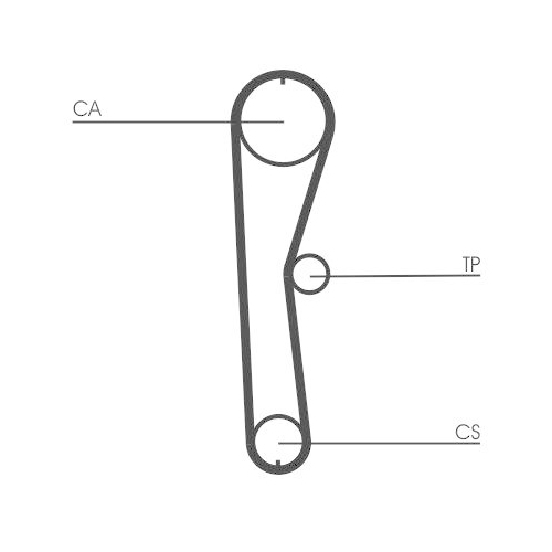 CONTINENTAL CTAM Zahnriemen CT824