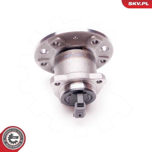 ESEN SKV Radlagersatz 29SKV073