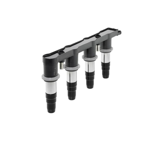 BorgWarner (BERU) Z&uuml;ndspule ZS571