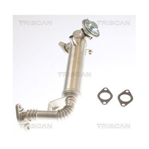 TRISCAN K&uuml;hler, Abgasr&uuml;ckf&uuml;hrung 8813 15075