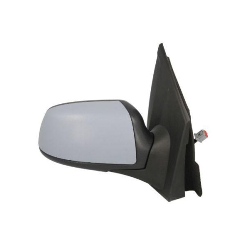 BLIC Au&szlig;enspiegel 5402-04-1121393P