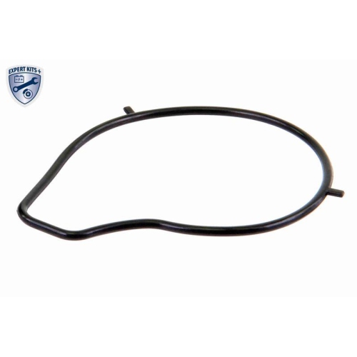 ACKOJA Wasserpumpe, Motork&uuml;hlung EXPERT KITS + A32-50011