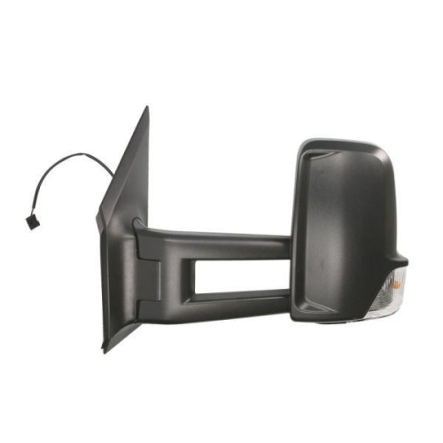 BLIC Außenspiegel 5402-04-0206591P