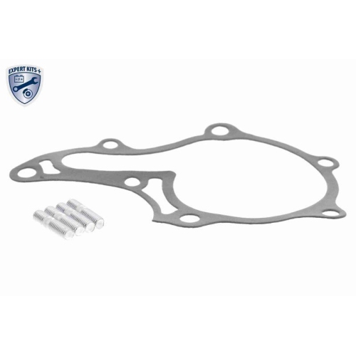 ACKOJA Wasserpumpe, Motorkühlung EXPERT KITS +