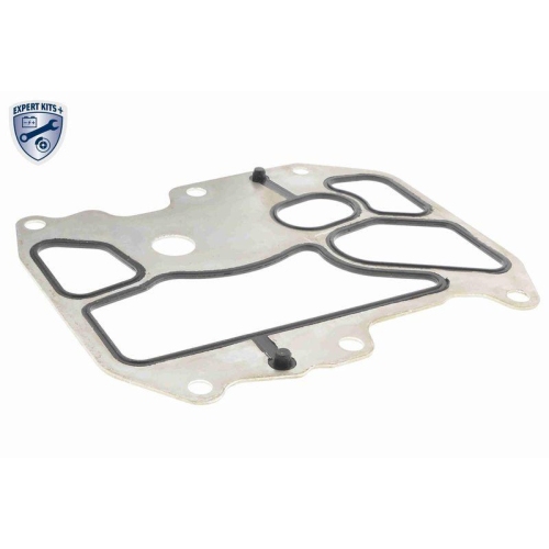 VEMO Ölkühler, Motoröl EXPERT KITS + V15-60-6075