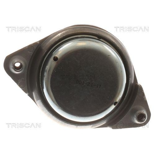 TRISCAN Lagerung, Motor 8505 23107