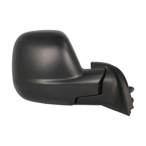 BLIC Außenspiegel 5402-21-2194311P