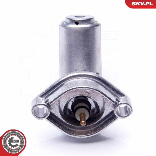 ESEN SKV Sensor, Motor&ouml;lstand 17SKV396