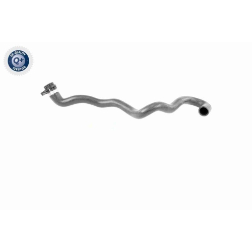 VAICO Kühlerschlauch Q+, Erstausrüsterqualität V20-2892