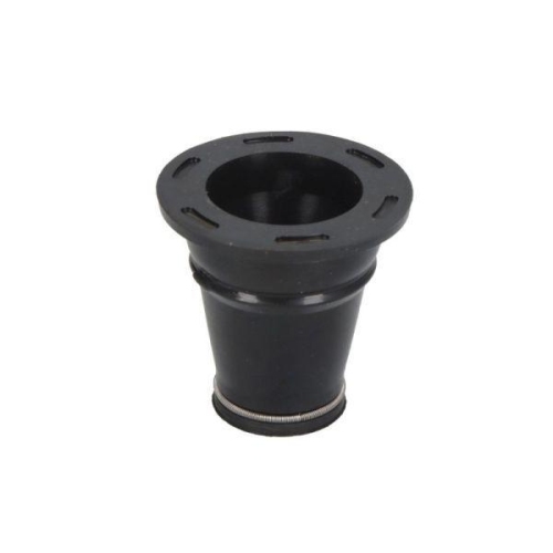 ENGITECH Dichtring, Einspritzventil ENT250548