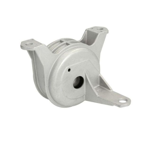 REINHOCH Lagerung, Motor RH11-5043