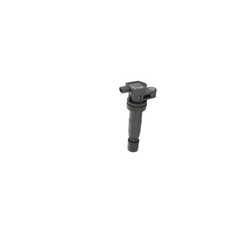 BorgWarner (BERU) Z&uuml;ndspule ZS531