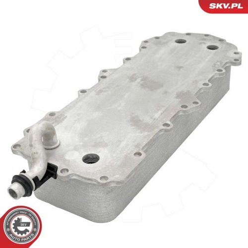 ESEN SKV &Ouml;lk&uuml;hler, Motor&ouml;l 31SKV361