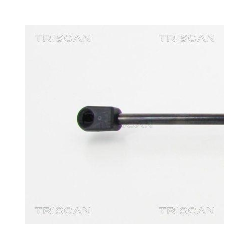 TRISCAN Gasfeder, Koffer-/Laderaum 8710 24250