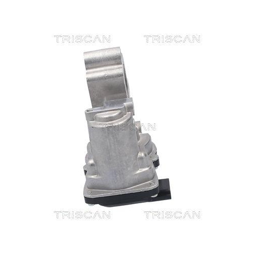 TRISCAN AGR-Ventil 8813 10056