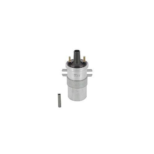 BorgWarner (BERU) Z&uuml;ndspule ZS546