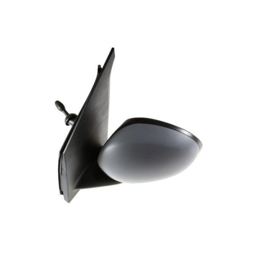 BLIC Außenspiegel 5402-04-1191857P